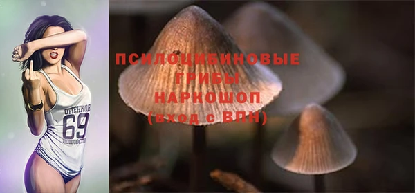 дурь Алзамай