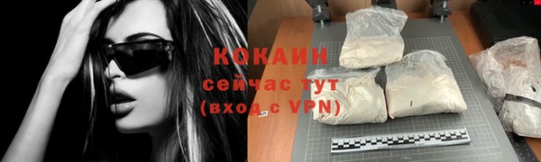 твердый Алексин